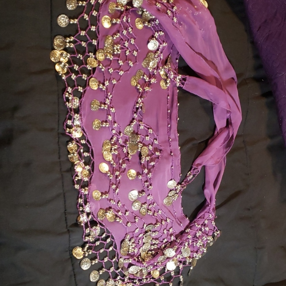 Purple Belly Dancing Hip Scarf
